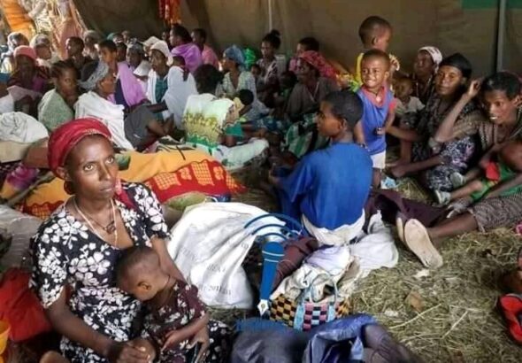 q5rsqyo5a5stmspktmwd